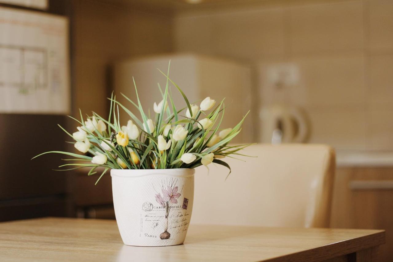 Apartments Paradisos Kragujevac Zewnętrze zdjęcie